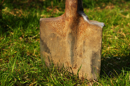 Garden shovel during the sunsetの写真素材