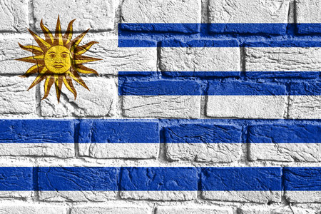 Flag of Uruguay on the wallの写真素材