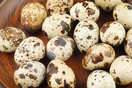 Many quail eggs close-up. Quail spotted eggs.の写真素材