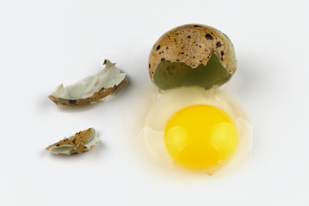 Quail egg broken and shell white background.の写真素材