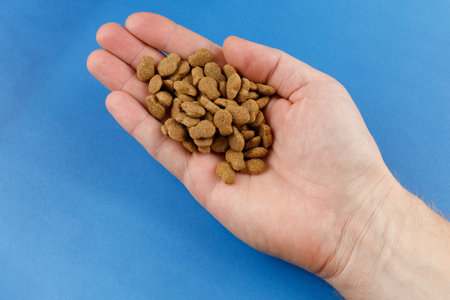 Dry dog food in hand.の写真素材