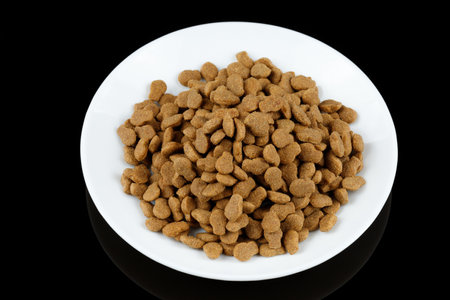 Cat food on a white plate. animal feed.の写真素材