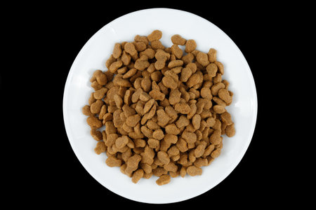 Cat food on a white plate. animal feed.の写真素材
