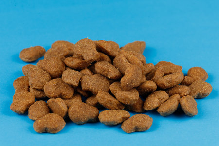Dog food close-up. Dry feed for animals.の写真素材