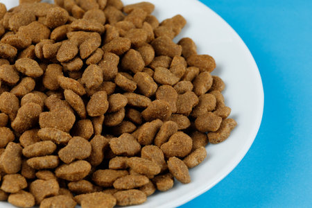 Dog food close-up. Dry feed for animals.の写真素材