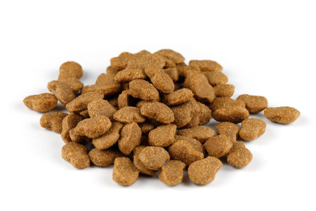 Dog food close-up. Dry feed for animals.の写真素材