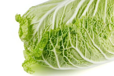 Beijing cabbage close-up on a white background.の写真素材