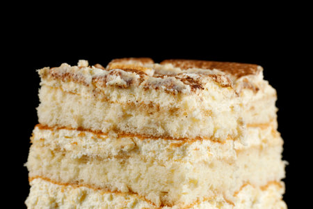 A slice of homemade tiramisu cake on black close-up. Tasty Tiramisu with cocoaの写真素材