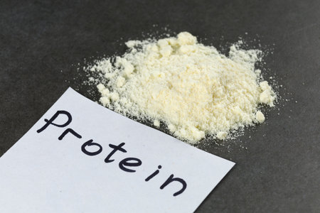 sports nutrition. Wheat protein powder for athletes.の写真素材