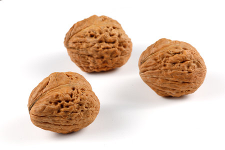 Big walnuts isolate on whiteの写真素材
