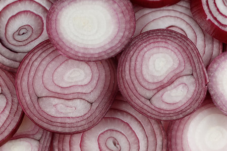 Purple onion cut into rings. food background pattern. Purple onion background or texture.の写真素材