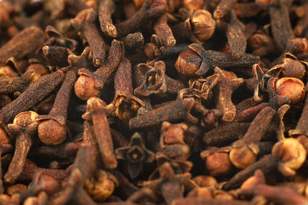 Clove spice pile close up. Dry spice cloves background and texture, top viewの写真素材