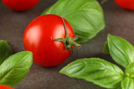 basil and tomato cherry. Tomato and basil greens.の写真素材
