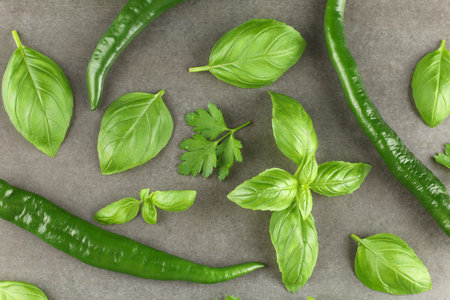 Green vegetables and herbs. Vegetarian food background.の写真素材
