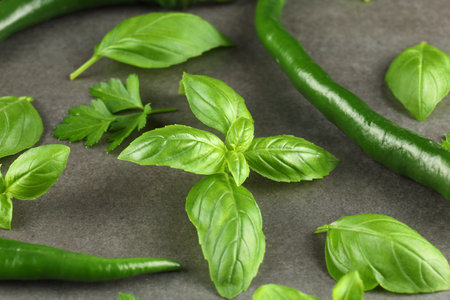 Green vegetables and herbs. Vegetarian food background.の写真素材
