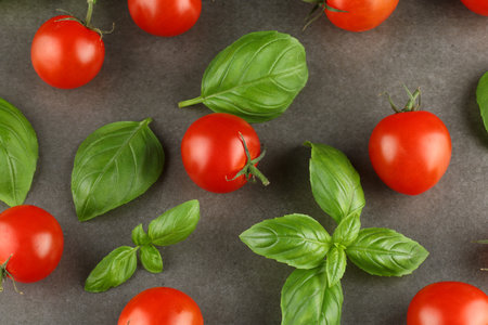 basil and tomato cherry. Tomato and basil greens.の写真素材