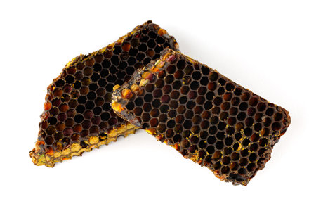 Bee pollen in honeycomb isolates. Bee bread isolated on a white background.の写真素材