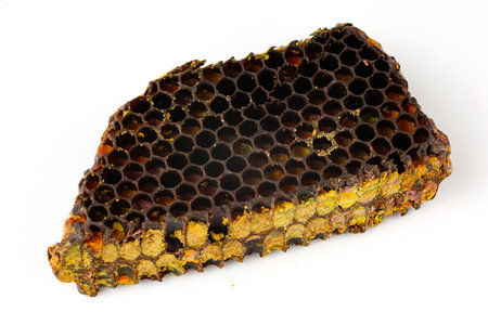 Bee pollen in honeycomb isolates. Bee bread isolated on a white background.の写真素材