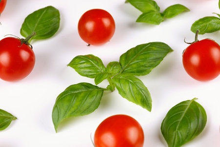 Tomatoes with basil. Vegetarian food.の写真素材