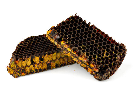 Bee pollen in honeycomb isolates. Bee bread isolated on a white background.の写真素材