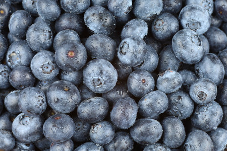 blueberry organic food. A lot of blueberries.の写真素材