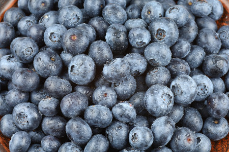 blueberry organic food. A lot of blueberries.の写真素材