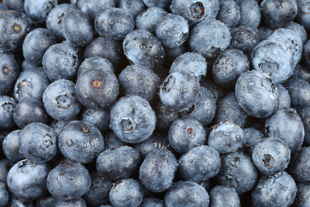 Blueberry close-up.の写真素材