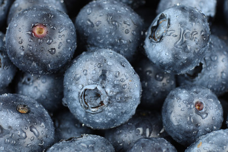 blueberry organic food. A lot of blueberries.の写真素材