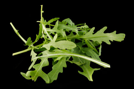 arugula salad on a black background. arugula leaves fresh isolatedの写真素材