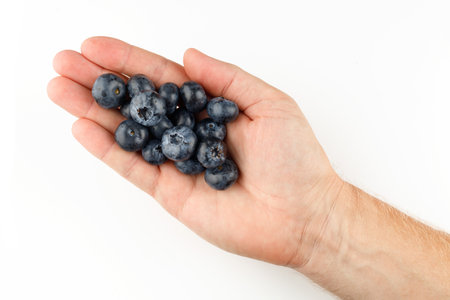 Blueberry in the hand isolatesの写真素材