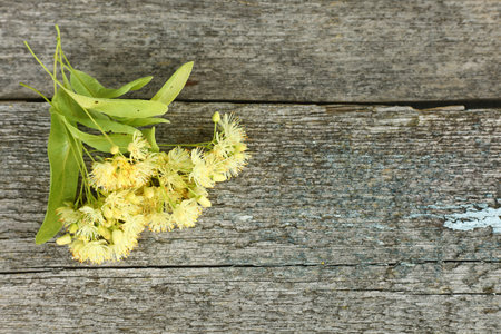 A bunch of linden on a board.の写真素材