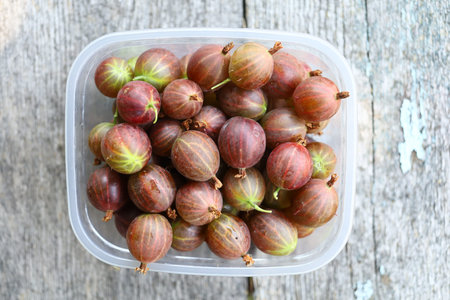 Gooseberry in a plastic container.の写真素材