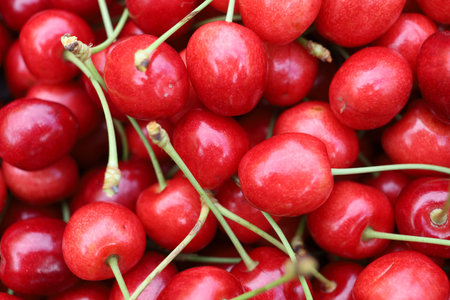 Red sweet merry. Merry berry close-upの写真素材