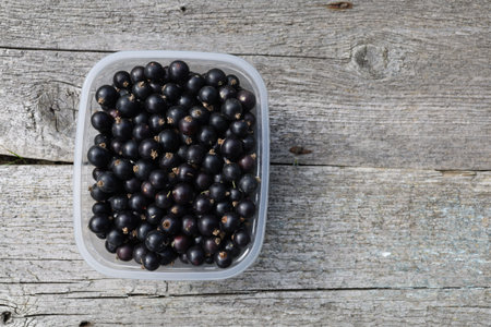Black currants in a plastic basket.の写真素材