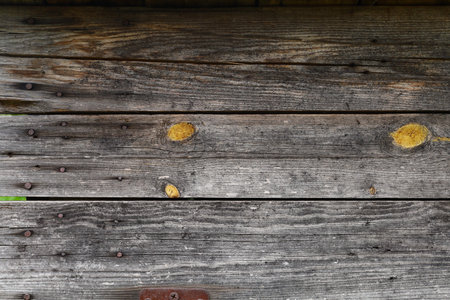 Gray old boards background or textureの写真素材