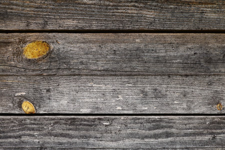 Gray old boards background or textureの写真素材