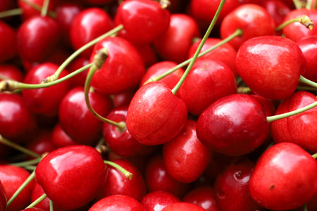 Red sweet merry. Merry berry close-upの写真素材