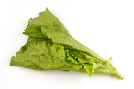 Lettuce salad isolate. Bunch of greeneryの写真素材