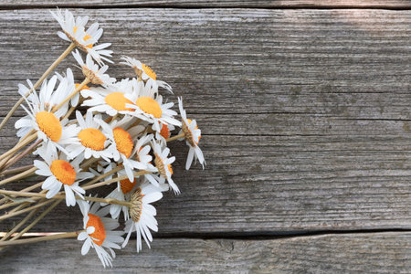 white daisies and wood backgroundの写真素材