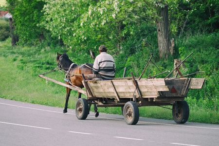 A peasant on a horse with a cart on the roadの写真素材