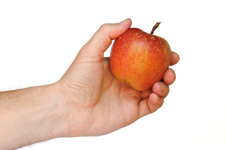 Red apple variety of Fuji in hand isolateの写真素材