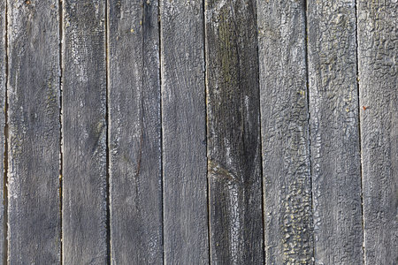 Gray old board texture or backgroundの写真素材
