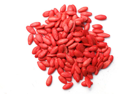 Cucumber seeds for planting red isolateの写真素材