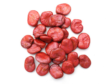 Bean seeds for planting isolateの写真素材