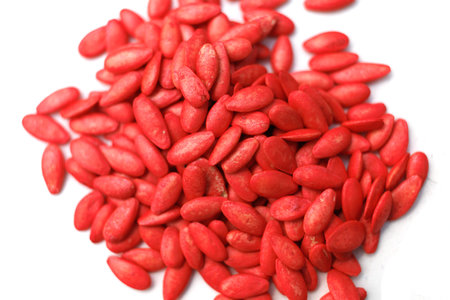 Cucumber seeds for planting redの写真素材