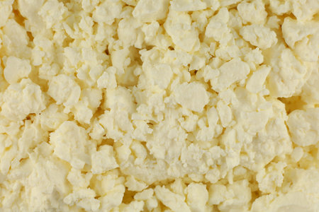 cottage cheese in a plastic containerの写真素材