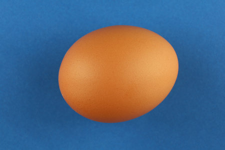 Brown egg on a blue backgroundの写真素材