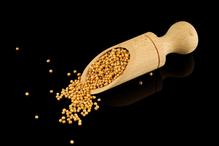 Millet in a wooden scoopの写真素材