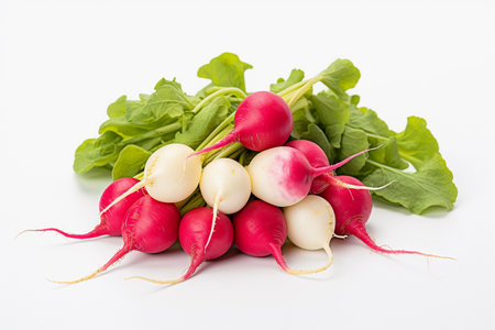 Several radishes on white isolate.の素材