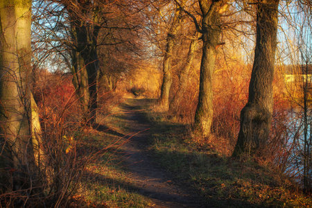 Beautiful trail in autumn. Autumn landscape.の写真素材
